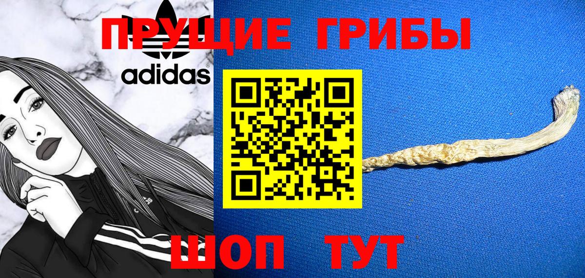 Саранск  Псилоцибиновые грибы мицелий  Псилоцибиновые грибы ЛСД  Вход с VPN 